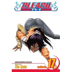 Bleach, Vol. 17