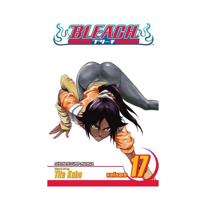 Bleach, Vol. 17