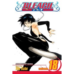 Bleach, Vol. 18