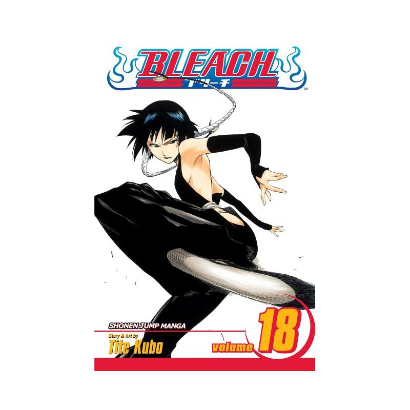Bleach, Vol. 18