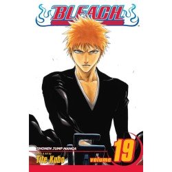 Bleach, Vol. 19