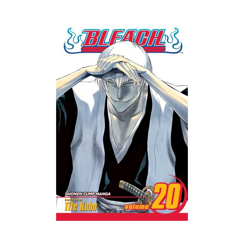 Bleach, Vol. 20