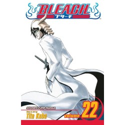 Bleach, Vol. 22