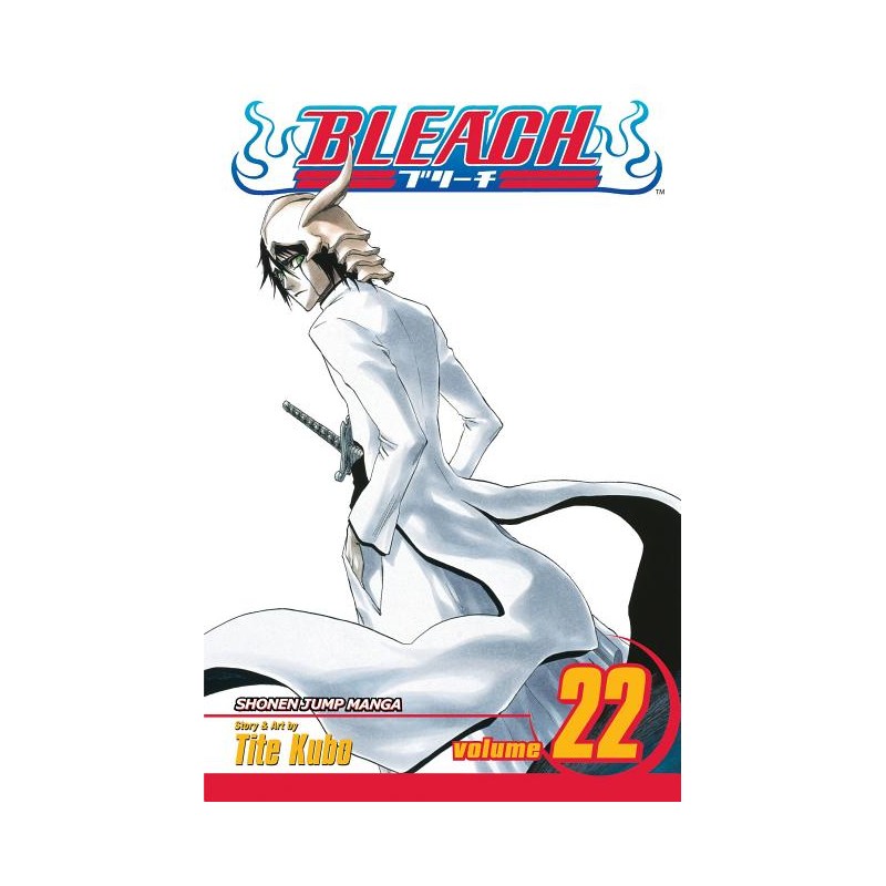 Bleach, Vol. 22