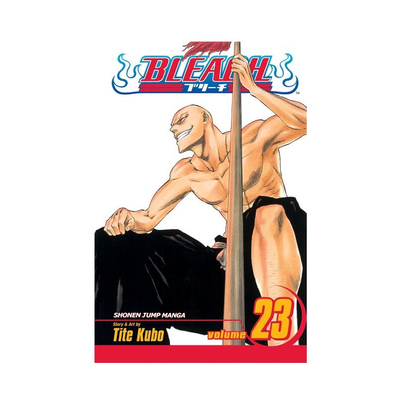Bleach, Vol. 23