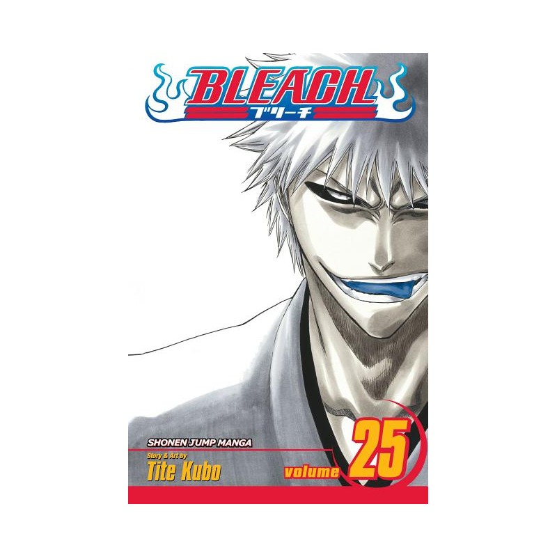 Bleach, Vol. 25 - Bleach