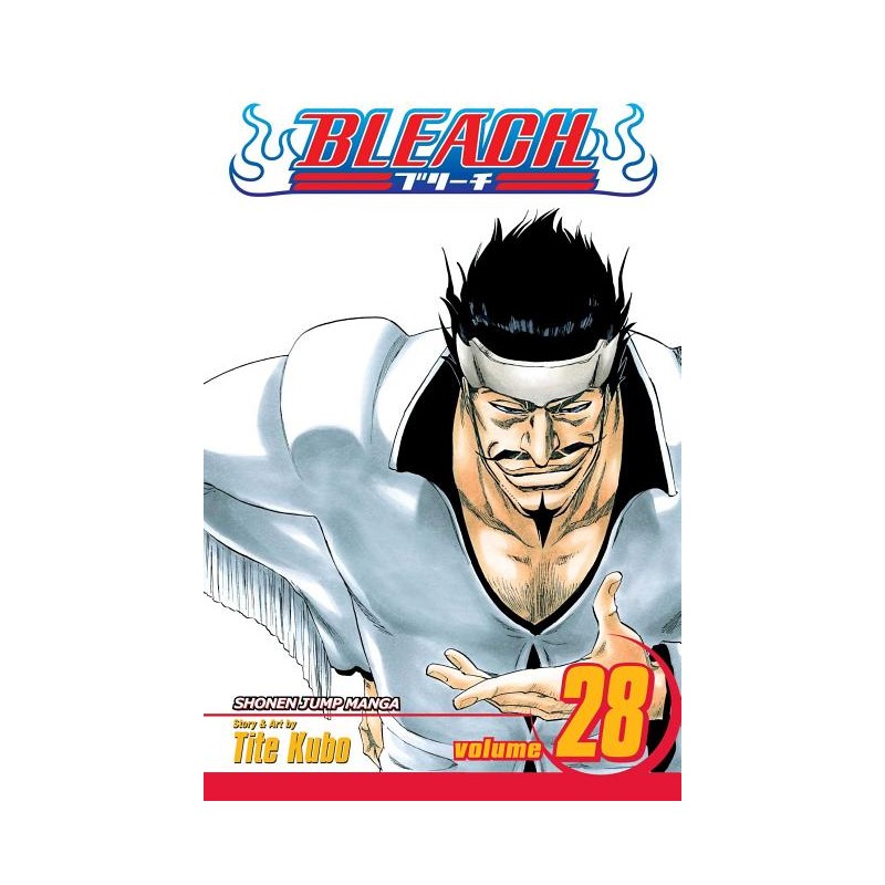 Bleach, Vol. 28