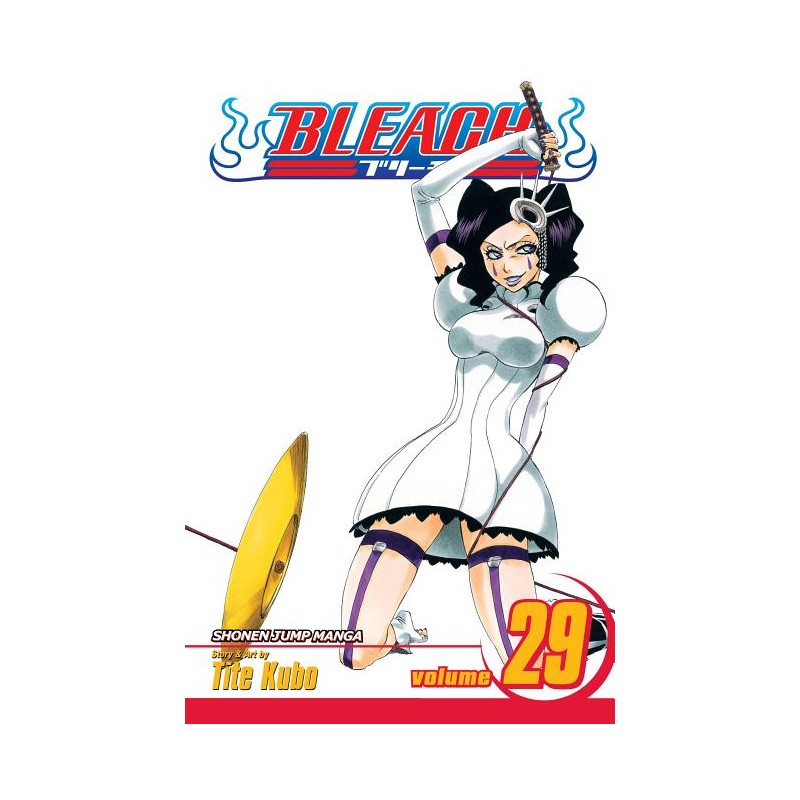 Bleach, Vol. 29 - Bleach
