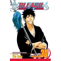 Bleach, Vol. 30