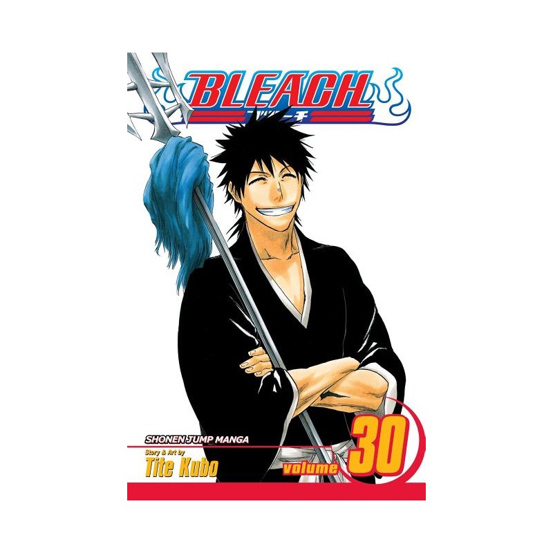Bleach, Vol. 30 - Bleach