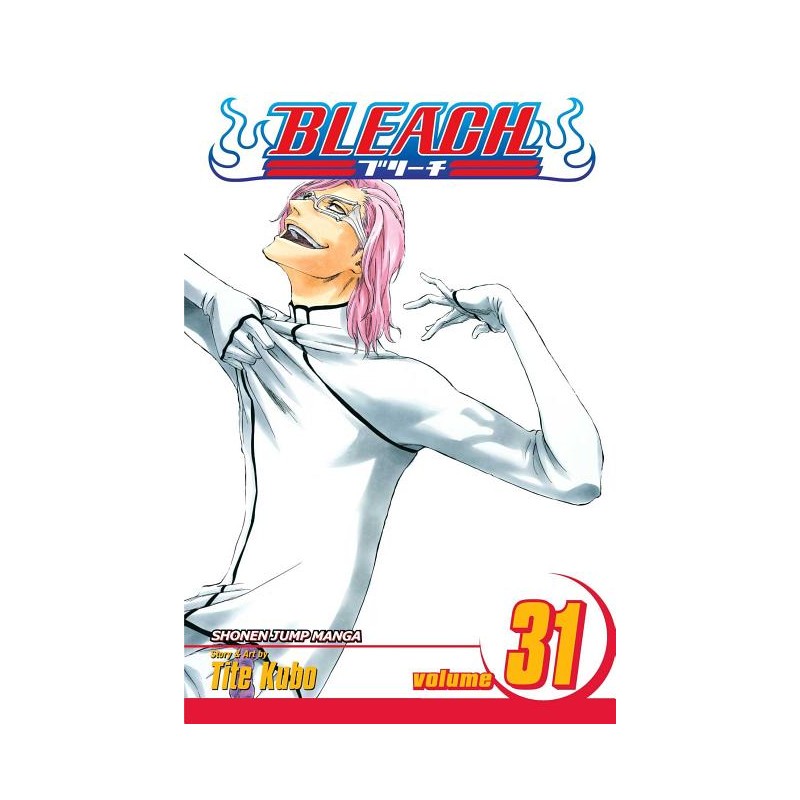 Bleach, Vol. 31