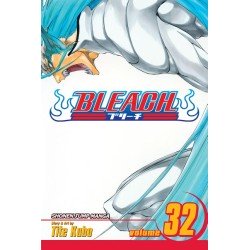 Bleach, Vol. 32