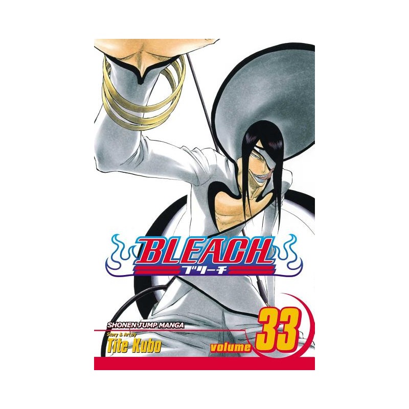 Bleach, Vol. 33