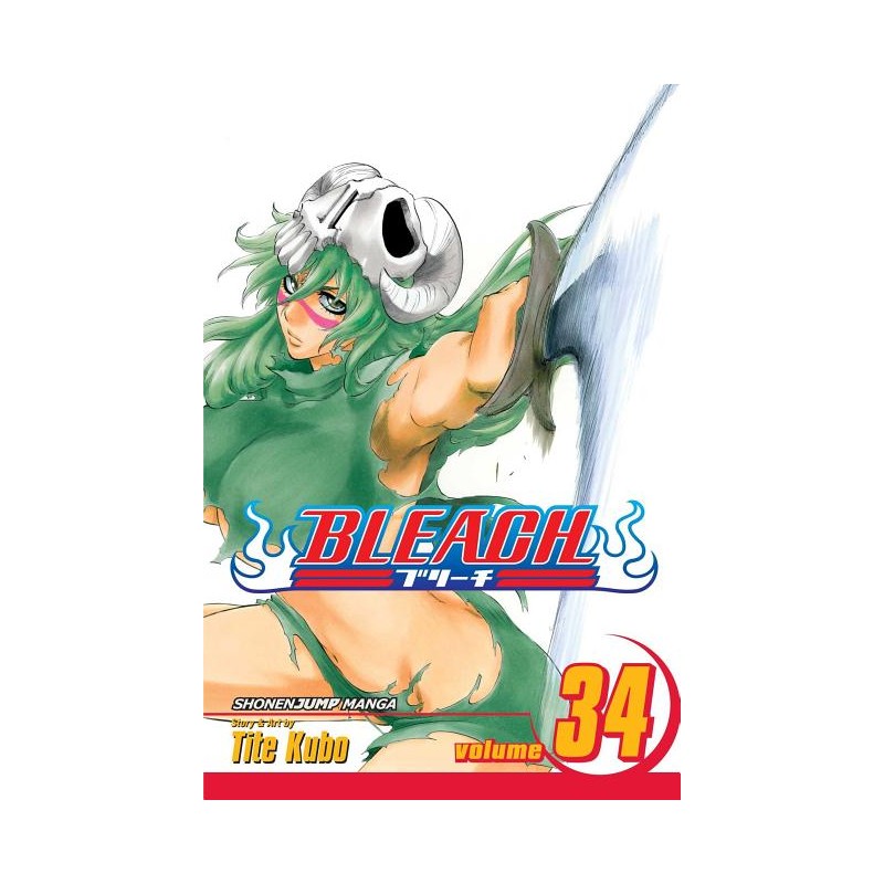 Bleach, Vol. 34