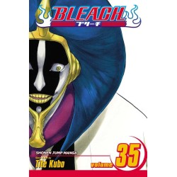 Bleach, Vol. 35