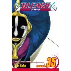 Bleach, Vol. 35