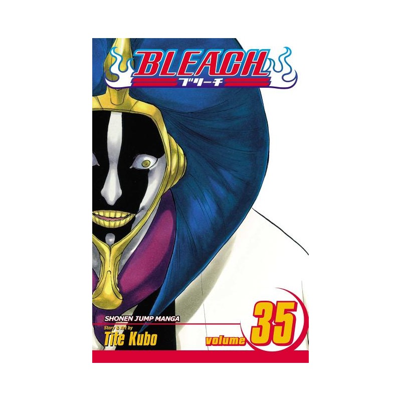 Bleach, Vol. 35