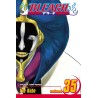 Bleach, Vol. 35