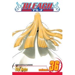 Bleach, Vol. 36