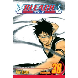 Bleach, Vol. 38