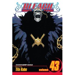 Bleach, Vol. 43