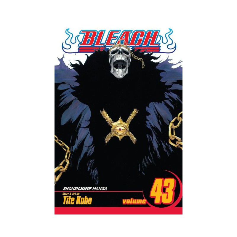 Bleach, Vol. 43 - Bleach