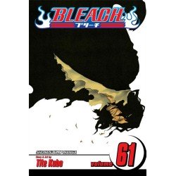 Bleach, Vol. 61