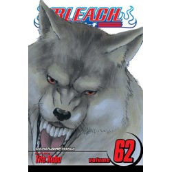 Bleach, Vol. 62