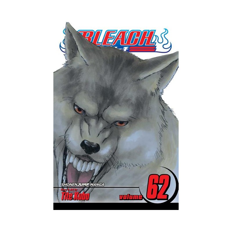 Bleach, Vol. 62 - Bleach