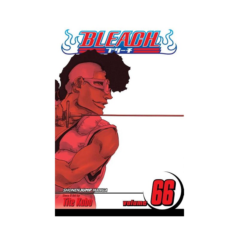 Bleach, Vol. 66 - Bleach