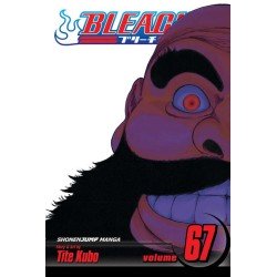Bleach, Vol. 67