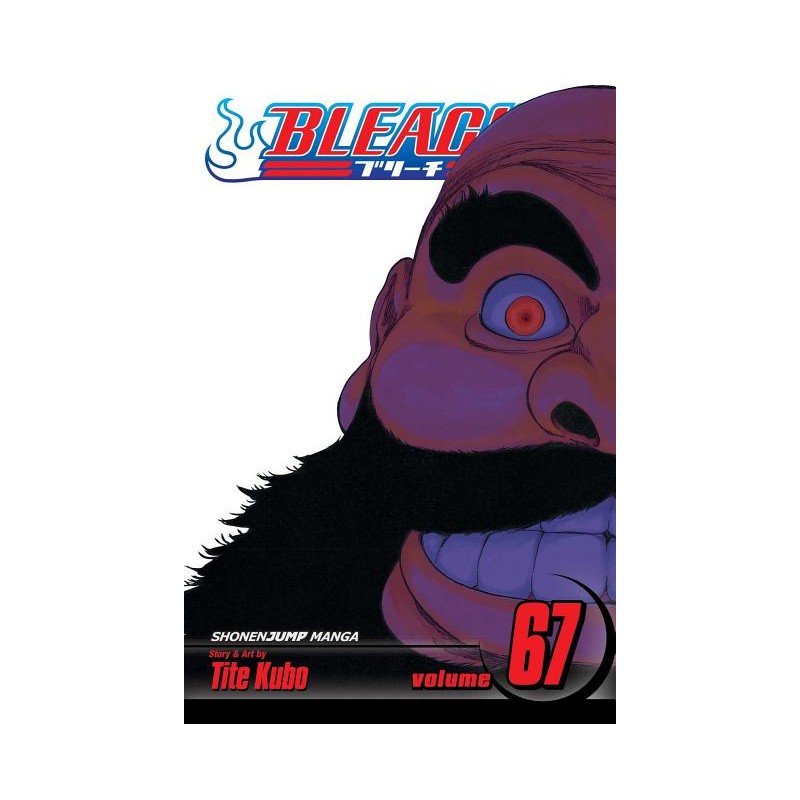 Bleach, Vol. 67 - Bleach