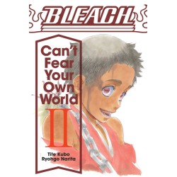 Bleach: Can't Fear Your Own World, Vol. 2