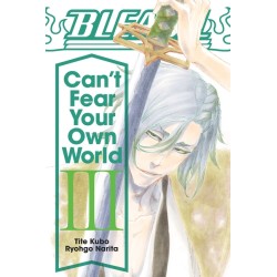 Bleach: Can't Fear Your Own World, Vol. 3
