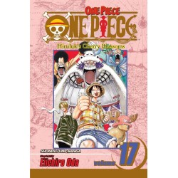 One Piece, Vol. 17