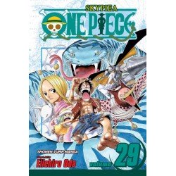 One Piece, Vol. 29