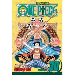 One Piece, Vol. 30