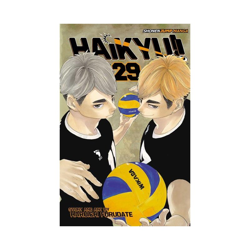 Haikyu!!, Vol. 29 - Haikyu!!