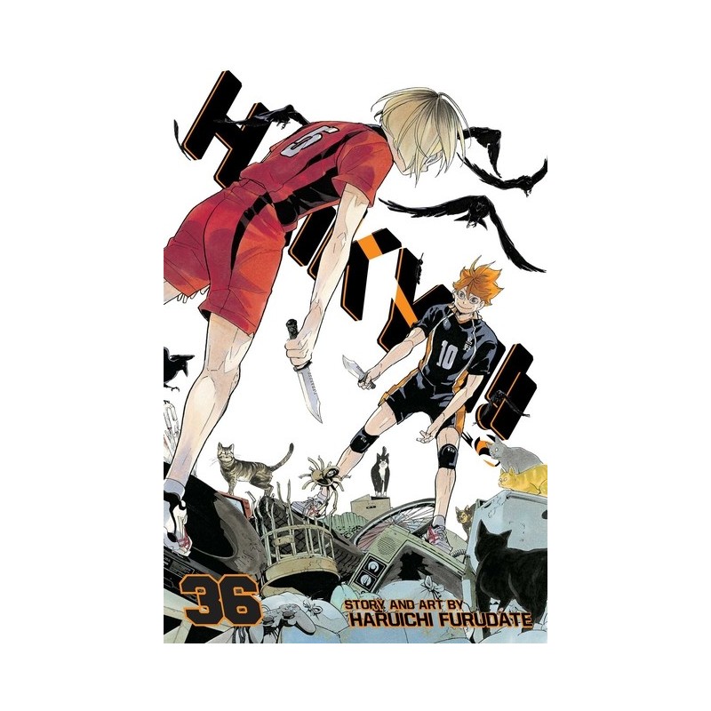 Haikyu!!, Vol. 36 - Haikyu!!